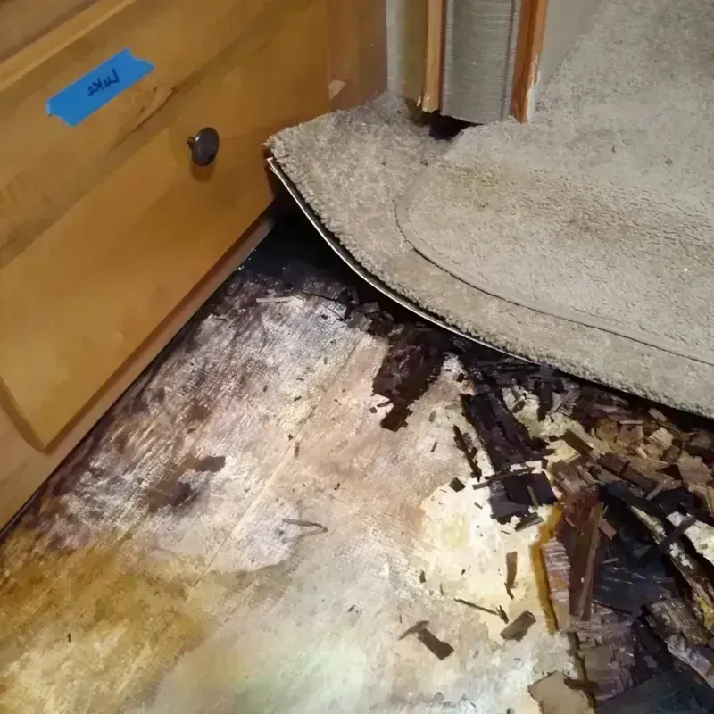 Wood Floor Water Damage in Tobaccoville, NC